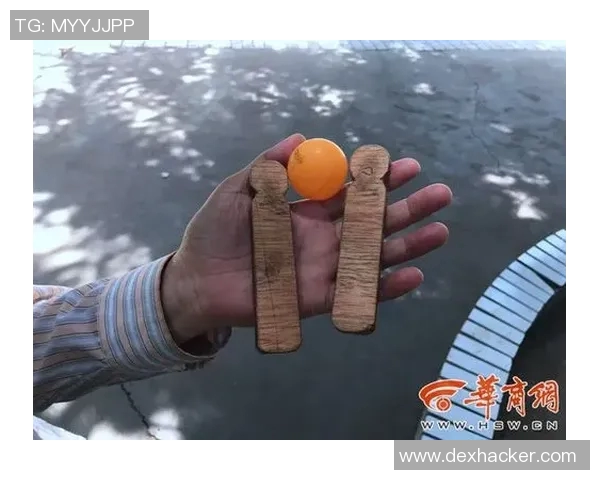 陈敏独家分享乒乓球技巧与心得助你提升球技的秘密宝典