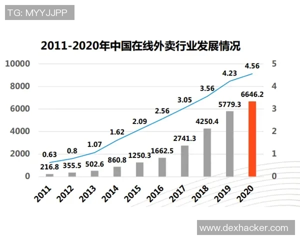 武汉排球队实力分析与发展潜力探讨：数据背后的故事与趋势解读