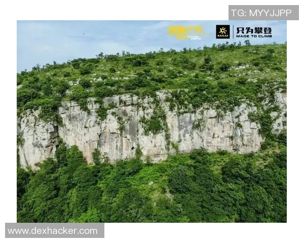 上海攀岩队的转型升级之路探索与挑战的全景解析